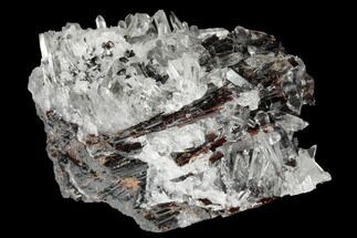 Lustrous Red Hubnerite and Quartz Crystal Association - Peru #173310