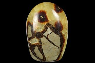 3.6" Free-Standing, Polished Septarian - Madagascar - Crystal #174593