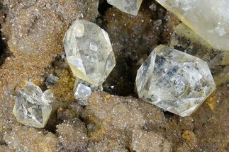 10.9" Plate of HUGE Herkimer Diamonds on Sparkling, Druzy Quartz - Crystal #175393