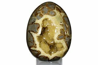 Calcite Crystal Filled Septarian Geode Egg - Utah #176041