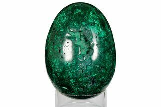 5.5" Tall, Flowery Polished Malachite Egg - Congo - Crystal #176117