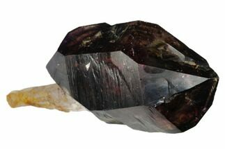 3.2" Shangaan Smoky Amethyst Scepter - Chibuku Mine, Zimbabwe - Crystal #175752