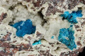 Vibrant Blue Cavansite and Pentagonite on Stilbite - India #176806