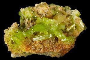 2.3 Yellow-Green Botryoidal Pyromorphite - Ojuela Mine, Mexico (#236823)  For Sale 