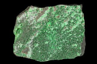 Druzy Green Uvarovite (Garnet Group) - Russia #178983