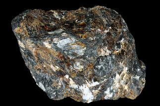 2.9" Golden-Brown, Radiating Astrophyllite - Kola Peninsula, Russia - Crystal #179172