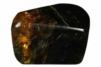 1.35" Polished Chiapas Amber (14 grams) - Mexico - Fossil #180432