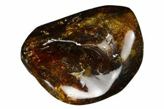 1.5" Polished Chiapas Amber (11 grams) - Mexico - Fossil #180493