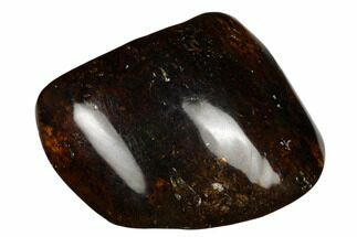 Polished Chiapas Amber ( grams) - Mexico #180518