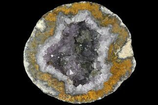 Las Choyas Coconut Geode Half with Calcite & Amethyst - Mexico #180558