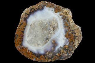 5.6" Polished Banded Agate with Wegeler Effect - Kerrouchen, Morocco - Crystal #181292