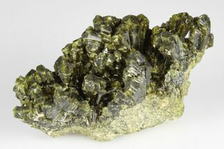 2.7" Epidote Crystal Cluster - Peru - Crystal #181647