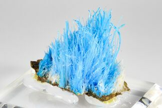 Vibrant Blue Chalcanthite - Planet Mine, Arizona #181703