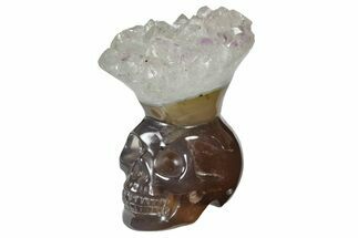 2.2" Polished Agate Skull with Amethyst Crown  - Crystal #181943