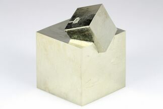 Natural, Interlocking Pyrite Cubes - Spain #183243