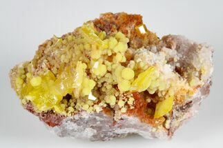 1.9" Orange Wulfenite With Botryoidal Mimetite -Mexico - Crystal #183927