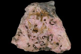 Polished Cobaltoan Calcite Slab - Congo #184041