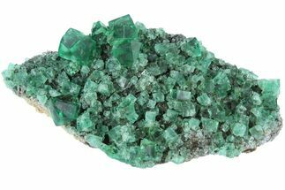 3.9" Fluorescent Green Fluorite Cluster - Rogerley Mine, England - Crystal #184620