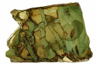 Polished Slab of Morrisonite Jasper - Oregon #184761
