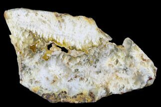 6.4" Polished Nydegger Plume Agate Slab - Oregon - Crystal #141302