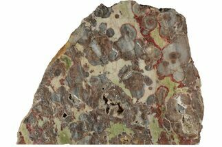 14.2" Polished Mushroom Jasper Section - Arizona - Crystal #184814
