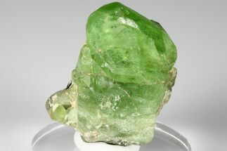 1.3" Green Olivine Peridot Crystal with Magnetite - Pakistan - Crystal #185284