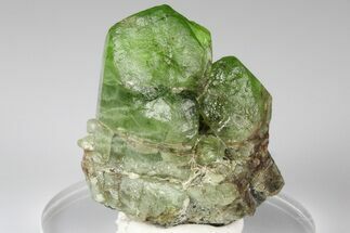 Green Olivine Peridot Crystals with Ludwigite Inclusions - Pakistan #185286