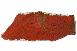 Red, Indonesian Plume Agate Section - North Sumatra, Indonesia #185355
