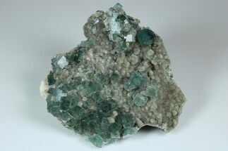 6.9" Cubic, Blue-Green Fluorite Crystals on Druzy Quartz - Fluorescent - Crystal #185456