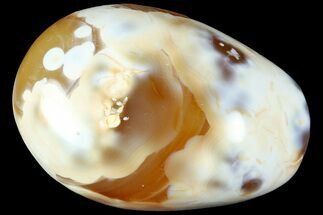 2.65" Colorful, Polished Carnelian Agate Palm Stone - Madagascar - Crystal #185824