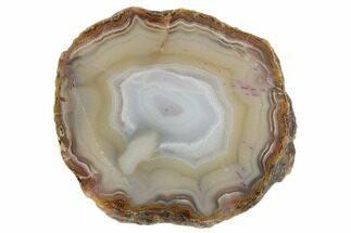 3.3" Polished, Banded Agate Nodule Section - Kerrouchen, Morocco - Crystal #186938