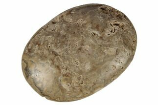 2.6" Polished Chocolate Calcite Palm Stone - Pakistan - Crystal #187882