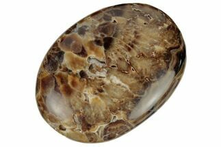 2.75" Polished Chocolate Calcite Palm Stone - Pakistan - Crystal #187888