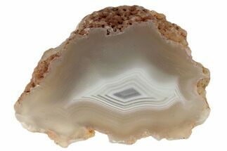 Polished Banded Agate Nodule Section - Morocco #187149