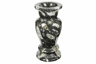 Limestone Vase With Orthoceras Fossils #187093
