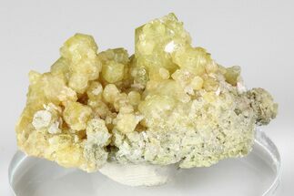 Yellow Topazolite Garnet Cluster - Mexico #188247