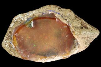 3.6" Precious, Ethiopian Fire Opal (128 grams) - Crystal #190266