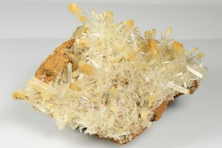 Stunning, Mango Quartz Crystal Cluster - Cabiche, Colombia #188379