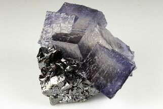 Purple Cubic Fluorite Crystals on Sphalerite - Elmwood Mine #191749