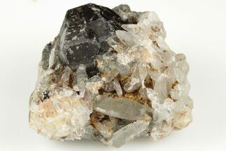 Cassiterite Crystal On Quartz - Viloco Mine, Bolivia #192161