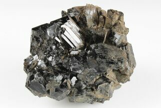 Black Tourmaline (Schorl) Crystal Cluster - Mexico #190534
