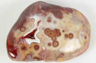 Polished Crazy Lace Agate - Mexico #193182