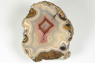 Polished Banded Laguna Agate with Sagenite - Mexico #193179