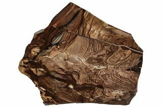 6.4" Polished Biggs Jasper Slab - Oregon - Crystal #193151