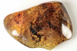 Large, Polished Chiapas Amber ( grams) - Mexico #193215