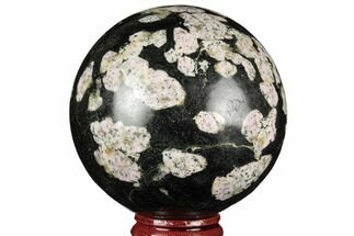 Polished Snowflake Stone Sphere - Pakistan #187526