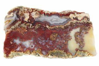 3.9" Polished Smuggler's Moss Agate Slab - Mexico  - Crystal #191877