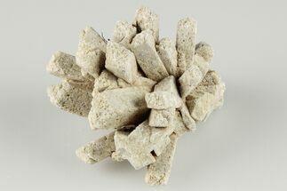 Radiating, Sand Celestine (Celestite) Crystals - Kazakhstan #193421