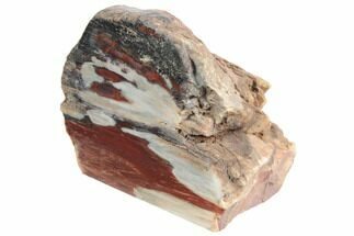 Colorful, 5.7" Polished Petrified Wood Stand Up - Texas - Fossil #193642