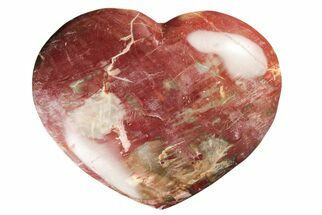 5.3" Polished Triassic Petrified Wood Heart - Madagascar - Fossil #194890